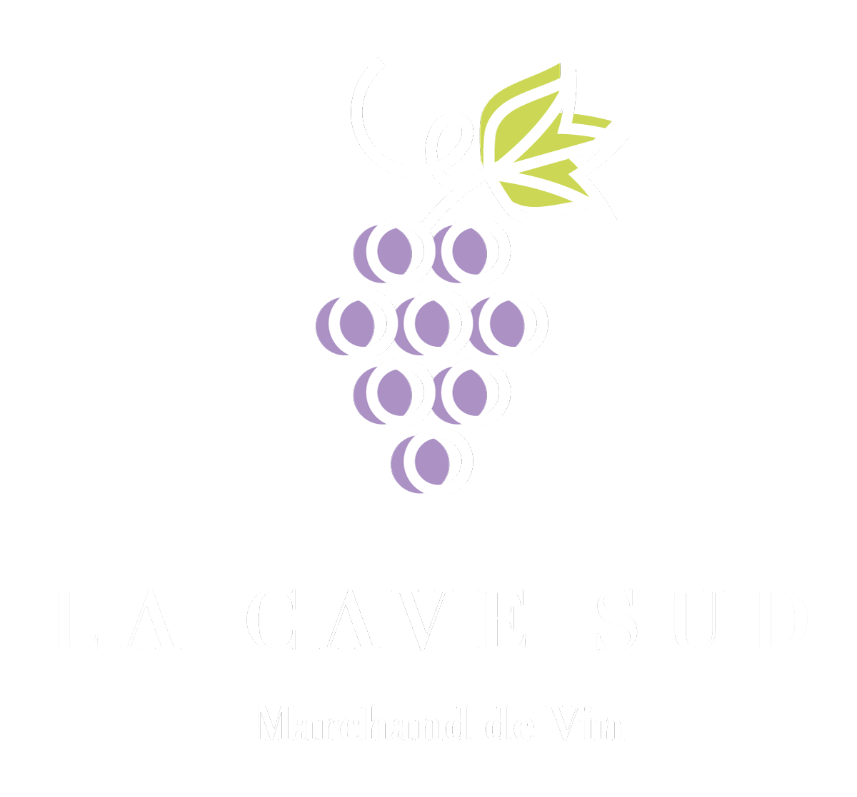 Caviste en ligne proposant une offre atypique de vins fins, grands millésimes, vins bios et vins Natures Français et étrangers.La Cave Sud caviste en ligne